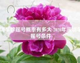 深圳车牌摇号概率有多大 2020年深圳车牌摇号条件
