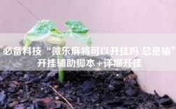 必备科技“微乐麻将可以开挂吗 总是输”开挂辅助脚本+详细开挂