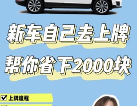 自己去车管所上牌要多少钱,为什么新车不建议当天上牌