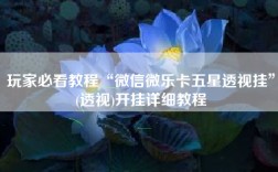 玩家必看教程“微信微乐卡五星透视挂”(透视)开挂详细教程
