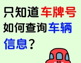 直接输入车牌号查违章(输入车牌号查违章微信)