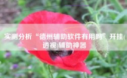 实测分析“德州辅助软件有用吗”开挂(透视)辅助神器
