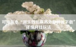 可用版本“微乐四川麻将外卦神器下载”详细开挂玩法