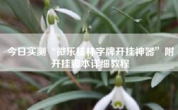 今日实测“微乐桂林字牌开挂神器”附开挂脚本详细教程