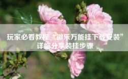 玩家必看教程“微乐万能挂下载安装”详细分享装挂步骤