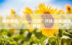 辅助神器“pokerist作弊”开挂(透视)辅助教程