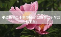 小型货车二手车市场(小型货车二手车交易平台)