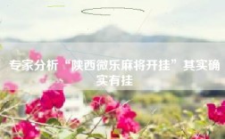 专家分析“陕西微乐麻将开挂”其实确实有挂