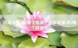汽车排量t和l哪个省油／汽车排量t和l哪个省油些