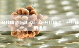 开挂辅助工具“hhpoker开挂辅助”开挂辅助详细