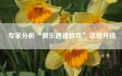 专家分析“微乐透视软件”详细开挂