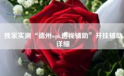 独家实测“德州wpk透视辅助”开挂辅助详细