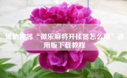 辅助神器“微乐麻将开挂器怎么用”通用版下载教程