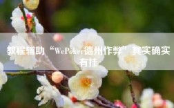教程辅助“WePoker德州作弊”其实确实有挂