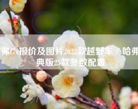 哈弗f7x报价及图片2022款越野车／哈弗经典版25款参数配置