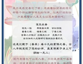 小莲花香的寓意和象征,小莲花香的含义