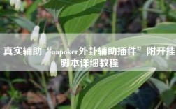 真实辅助“aapoker外卦辅助插件”附开挂脚本详细教程