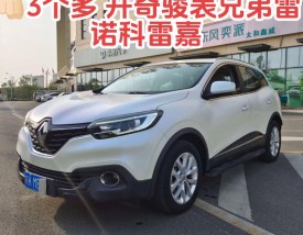 雷诺停产还能买吗,雷诺停售了吗