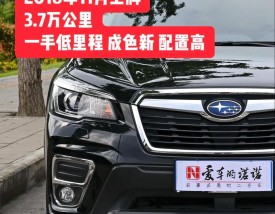 森林人第几代最好(森林人 第三代)