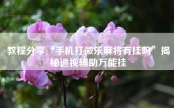 教程分享“手机打微乐麻将有挂吗”揭秘透视辅助万能挂