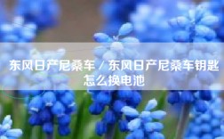东风日产尼桑车／东风日产尼桑车钥匙怎么换电池