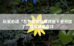 玩家必读“怎么看微乐麻将是不是开挂了”其实确实有挂