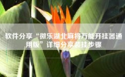 软件分享“微乐湖北麻将万能开挂器通用版”详细分享装挂步骤