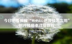 今日必看教程“WePoker透视挂怎么用”附开挂脚本详细教程