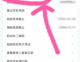 汽车违法违章查询 汽车违章在线查询系统