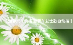 【炮萝汽车价格,菠萝车女士款自动挡】
