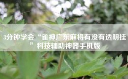 3分钟学会“雀神广东麻将有没有透明挂”科技辅助神器手机版