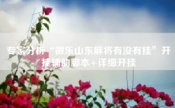 专家分析“微乐山东麻将有没有挂”开挂辅助脚本+详细开挂