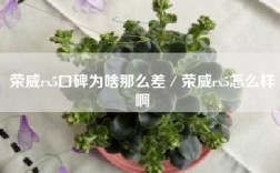 荣威rx5口碑为啥那么差／荣威rx5怎么样啊