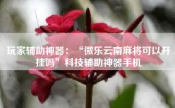 玩家辅助神器：“微乐云南麻将可以开挂吗”科技辅助神器手机
