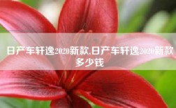 日产车轩逸2020新款,日产车轩逸2020新款多少钱