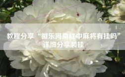 教程分享“微乐河南红中麻将有挂吗”详细分享装挂