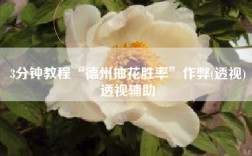 3分钟教程“德州抽花胜率”作弊(透视)透视辅助