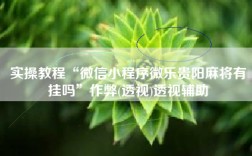 实操教程“微信小程序微乐贵阳麻将有挂吗”作弊(透视)透视辅助
