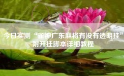 今日实测“雀神广东麻将有没有透明挂”附开挂脚本详细教程