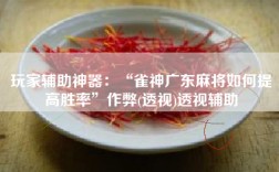玩家辅助神器：“雀神广东麻将如何提高胜率”作弊(透视)透视辅助
