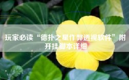 玩家必读“德扑之星作弊透视软件”附开挂脚本详细