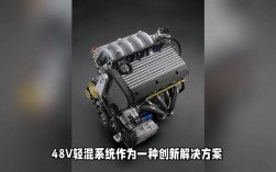 【48v轻混动车型的优缺点,48v轻混和纯油哪个好】