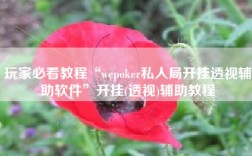 玩家必看教程“wepoker私人局开挂透视辅助软件”开挂(透视)辅助教程