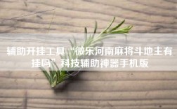 辅助开挂工具“微乐河南麻将斗地主有挂吗”科技辅助神器手机版