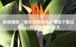 教程辅助“微乐安徽麻将免费挂下载红龙poker有透视辅助挂(太