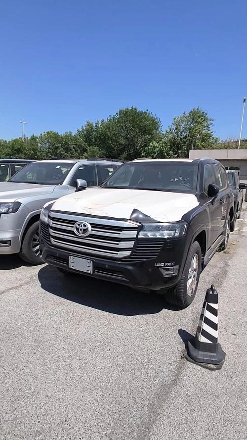 商务越野车都有哪些(商务车 越野车)