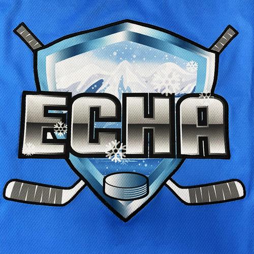 hockey(hockey是什么意思)