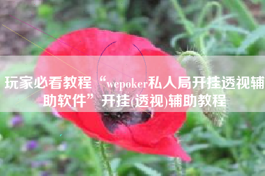 玩家必看教程“wepoker私人局开挂透视辅助软件	”开挂(透视)辅助教程