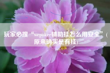 玩家必搜“wepoker辅助挂怎么用安全”(原来确实是有挂)