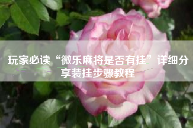 玩家必读“微乐麻将是否有挂	”详细分享装挂步骤教程